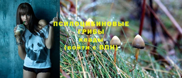 первитин Алексеевка